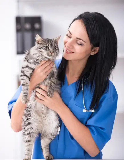 Veterinarios recomiendan Mi Vete App