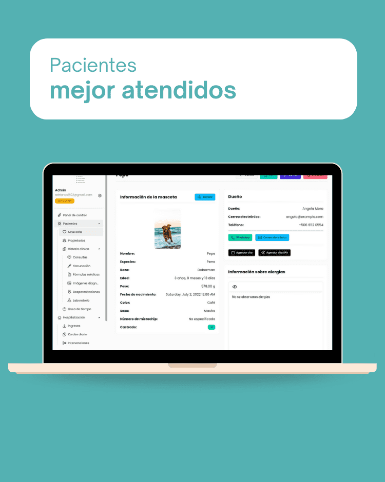 Gestión de pacientes | Mi Vete App