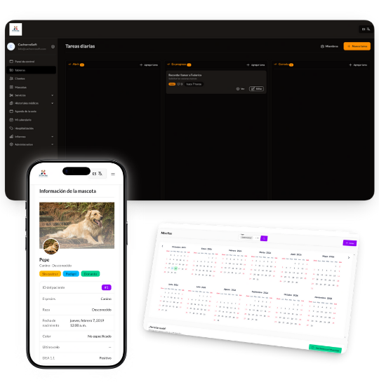 Reportería en Mi Vete App